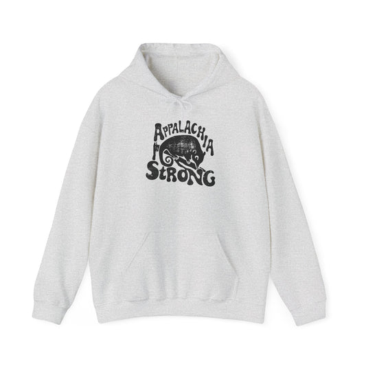 Unisex Heavy Blend™ Hooded Sweatshirt - Possum